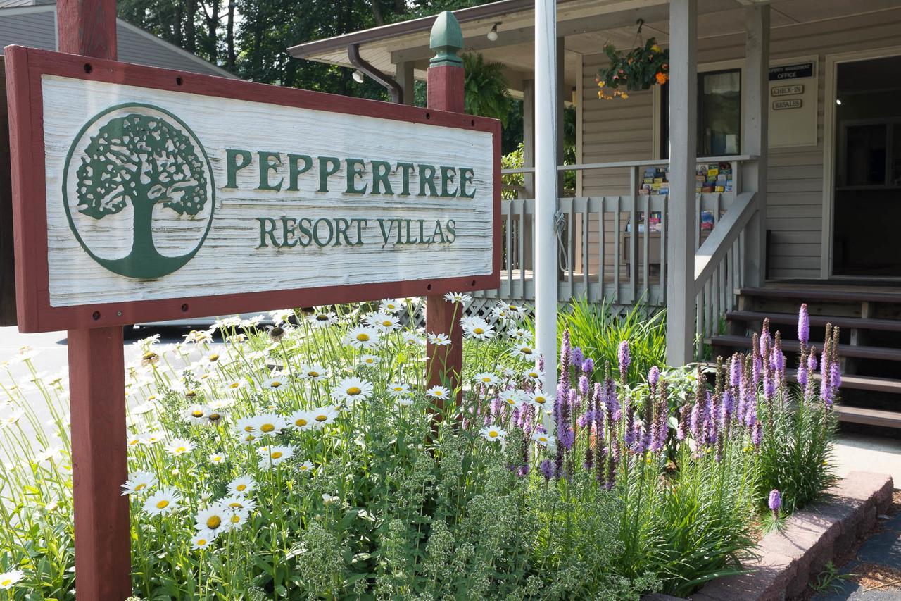 Peppertree Maggie Valley Aparthotel Exteriör bild