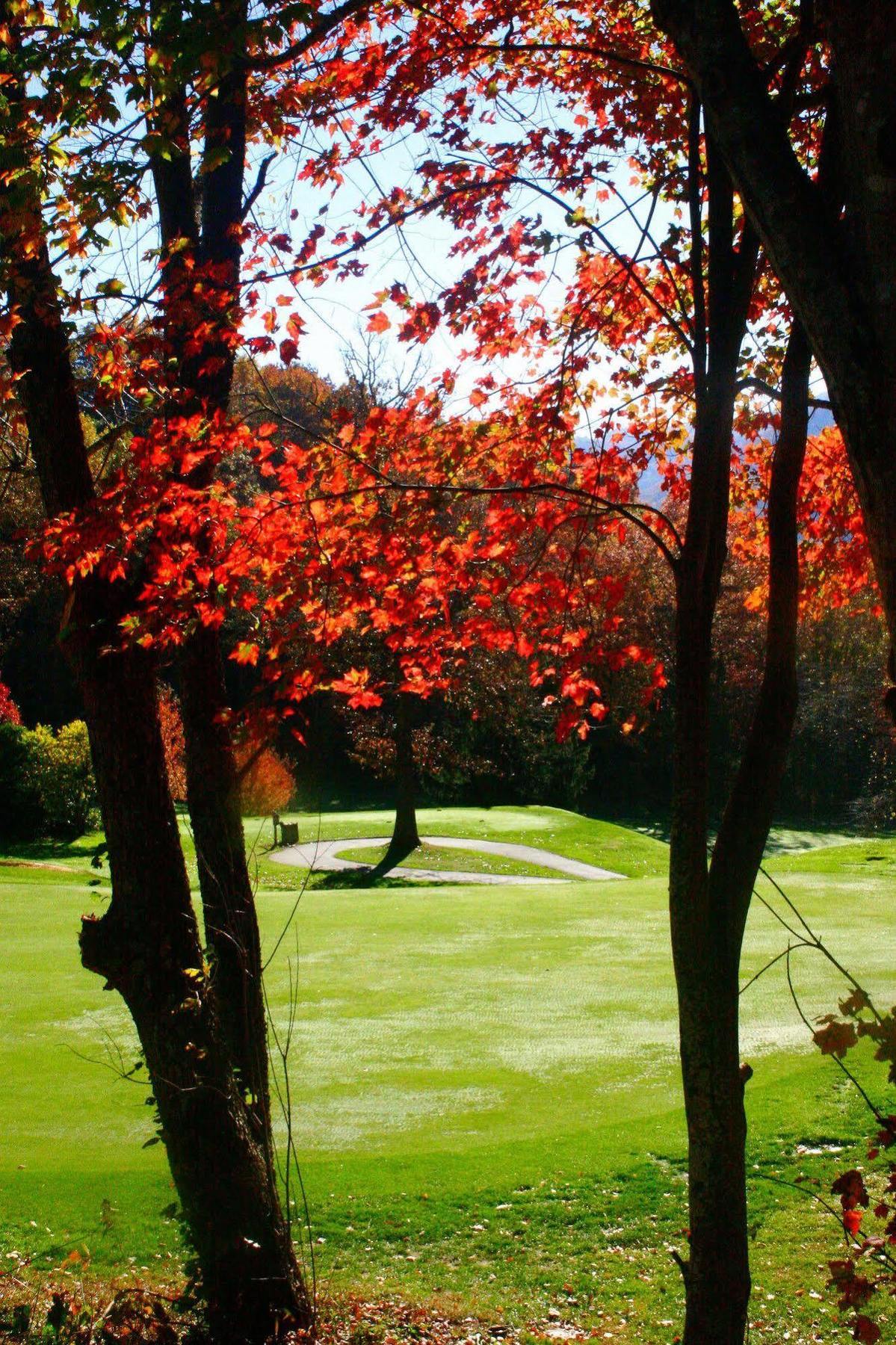 Peppertree Maggie Valley Aparthotel Exteriör bild
